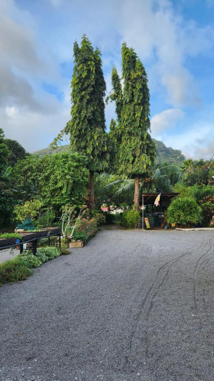 Green Self-Catering Apartment Beau Vallon  Luaran gambar